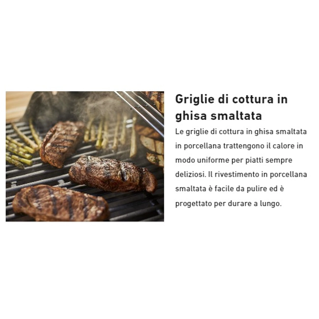 Vendita online Barbecue Spirit II E210 GBS